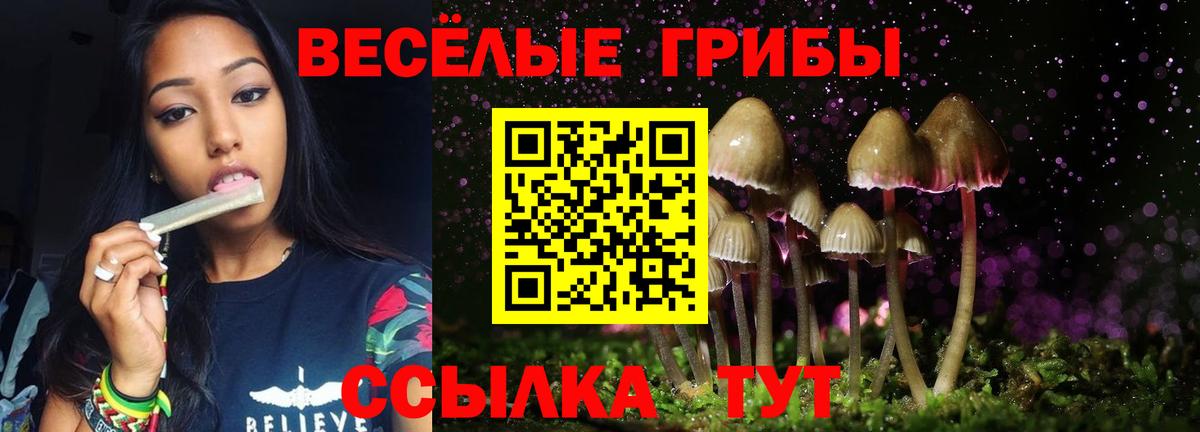 наркошоп  Галлюциногенные грибы MAGIC MUSHROOMS  Вход с VPN  Сорочинск 
